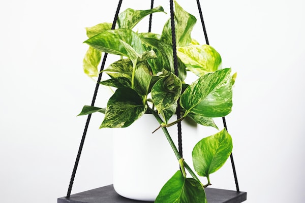 梅西加盟迈阿密国际后首次训练照片